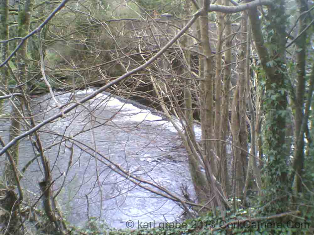 02032008(019) river shournagh