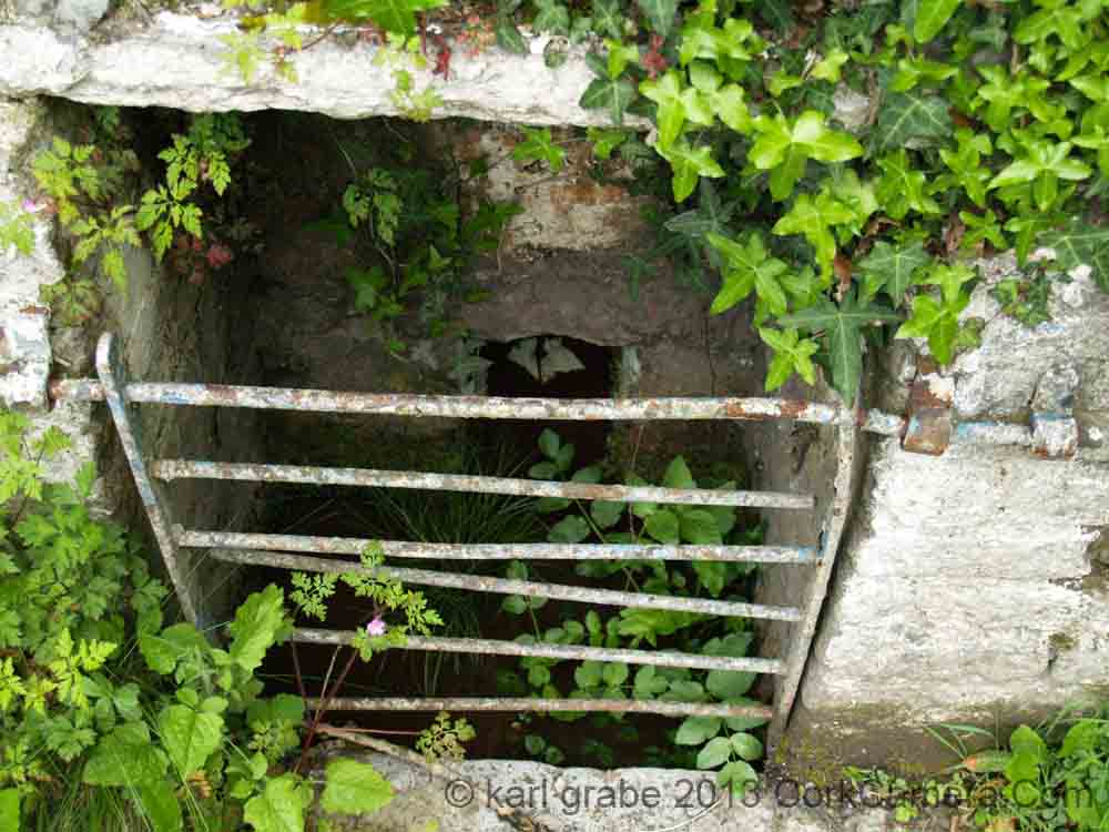 KG090798 Holy Well Kerry Pike