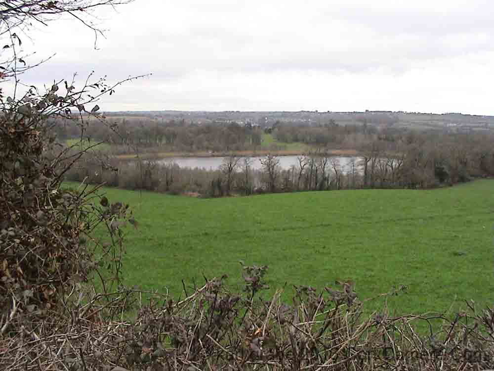 DSC00031