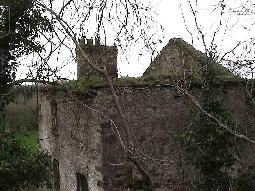DSC00032 disused farm nr blarney lake