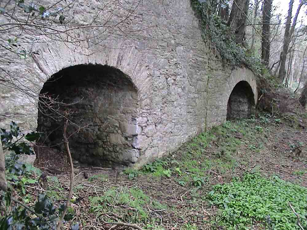 DSC00035