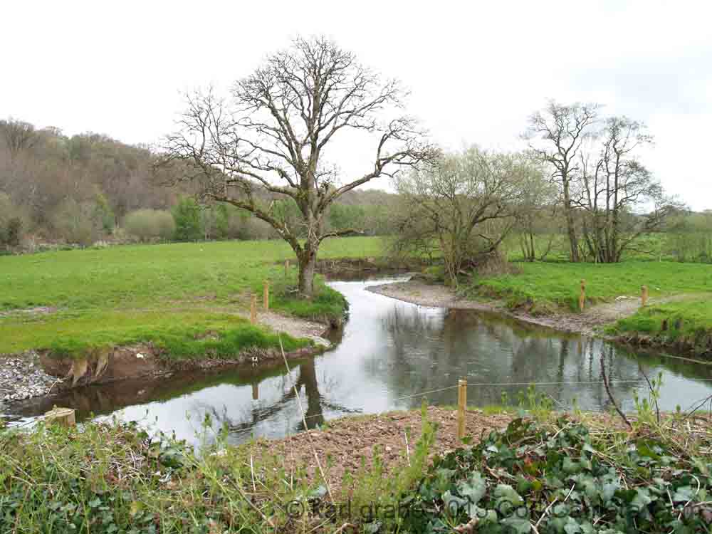 KG230513 River Shournagh Blarney Cork