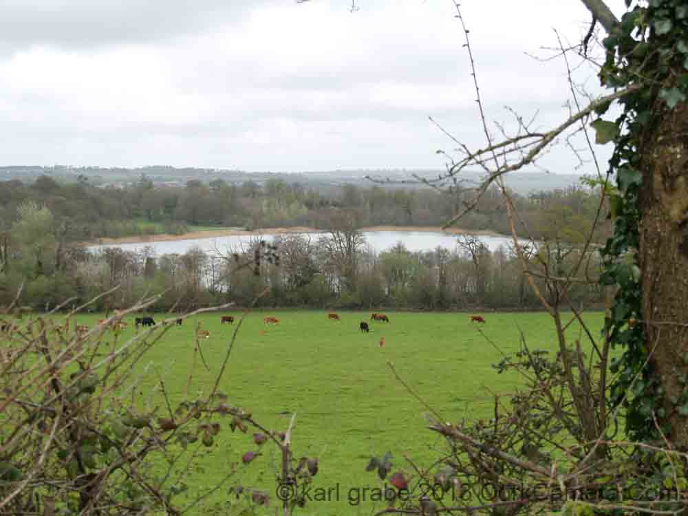KG230561 Blarney Lake