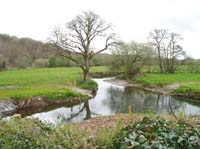 KG230513 River Shournagh Blarney Cork