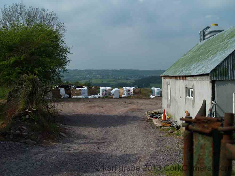 KG110816