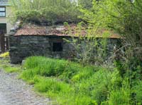 KG110875