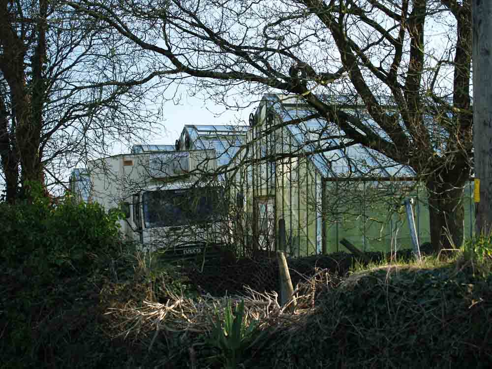 KG180091 glasshouses kerry pike