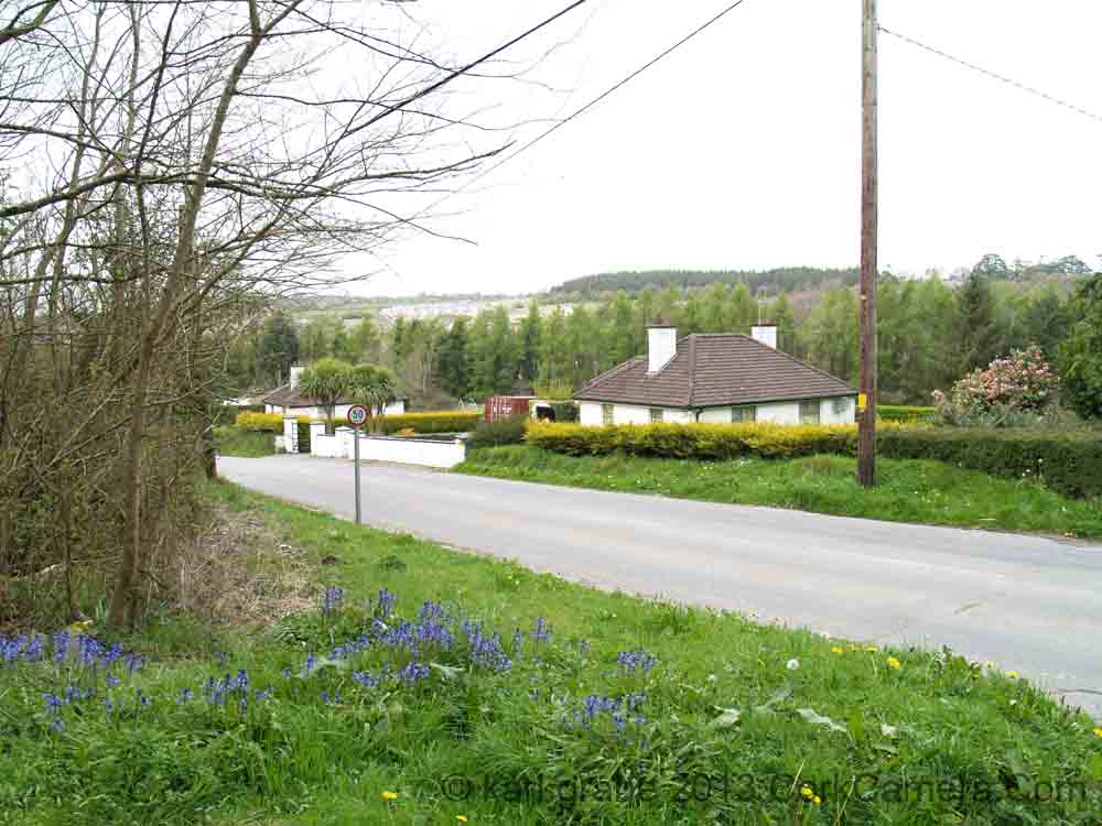 KG230278