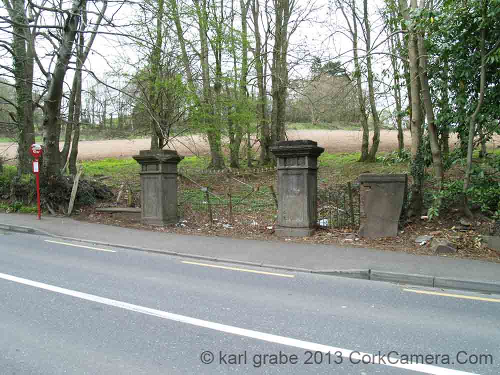 KG230420 gates blarney tower road