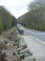 KG230456
