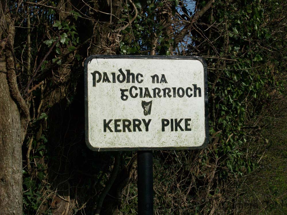 0 KG160095 kerry pike sign paidhc na gCiarrioch