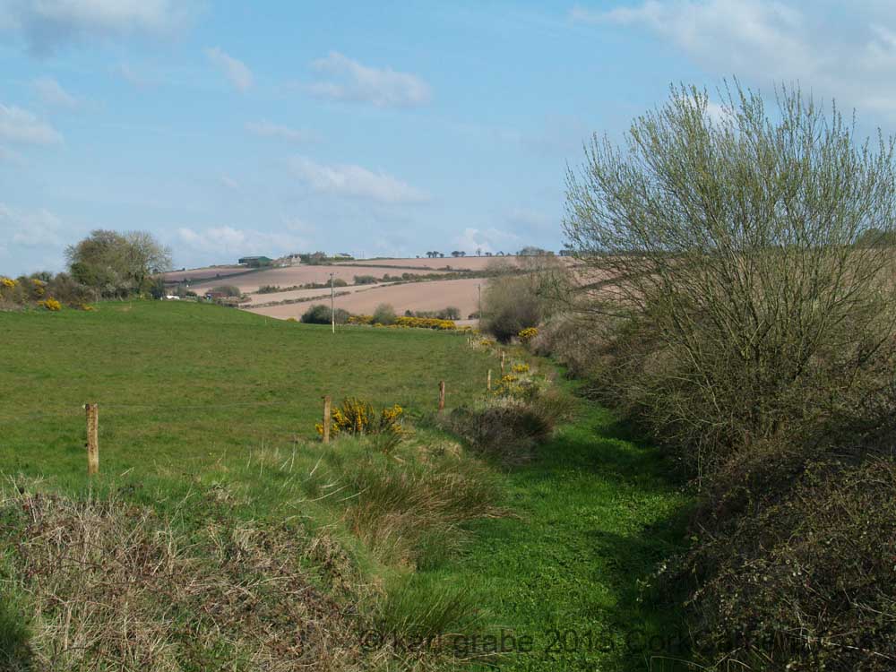 KG160064