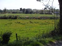 SDC10951